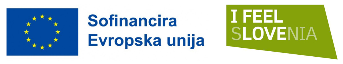 sofinancira-evropska-unija-logo-zelena-pozitiv-obrezan-ligo