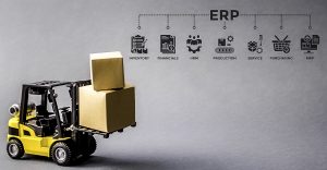 ligo-erp-saop-livarna-gorica